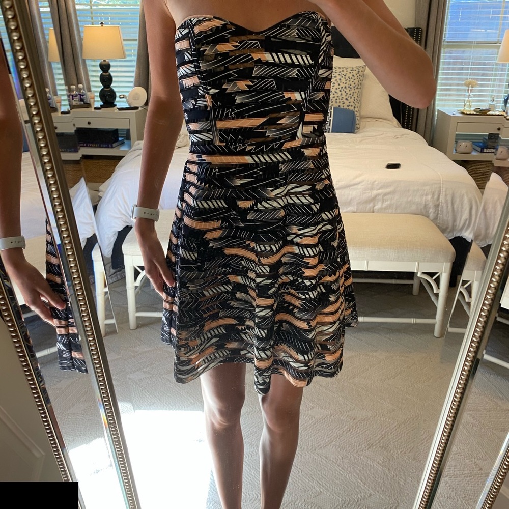 Parker Bustier Dress